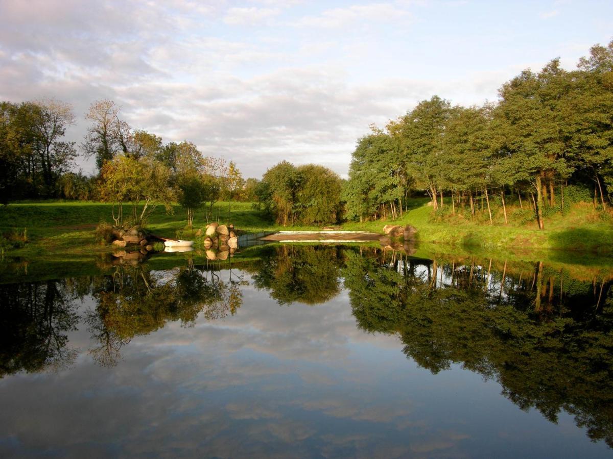 Отель Logis De L'Aubonniere Chaille-sous-les-Ormeaux Экстерьер фото